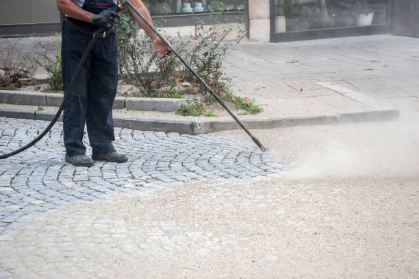 Trusted Circle Pines, MN Pressure Washing Services Experts