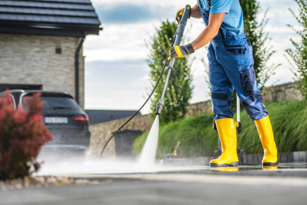Best House Exterior Washing  in Circle Pines, MN